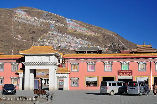 Click image for larger version. 

Name:	20140107-_DSC1666.jpg 
Views:	2846 
Size:	349.8 KB 
ID:	52778