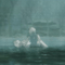afatal_illusion's Avatar