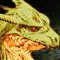 arcdragon9's Avatar