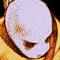 Celestial Psyence's Avatar