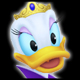Daisy