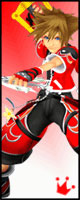 Sora's Valor Drive Form