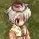Asrafel's Avatar