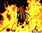 Sephiroth-follower's Avatar