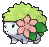 Shaymin's Avatar