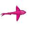 Brian The Pink Shark's Avatar