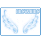 angelwing's Avatar